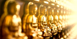 golden buddhas 