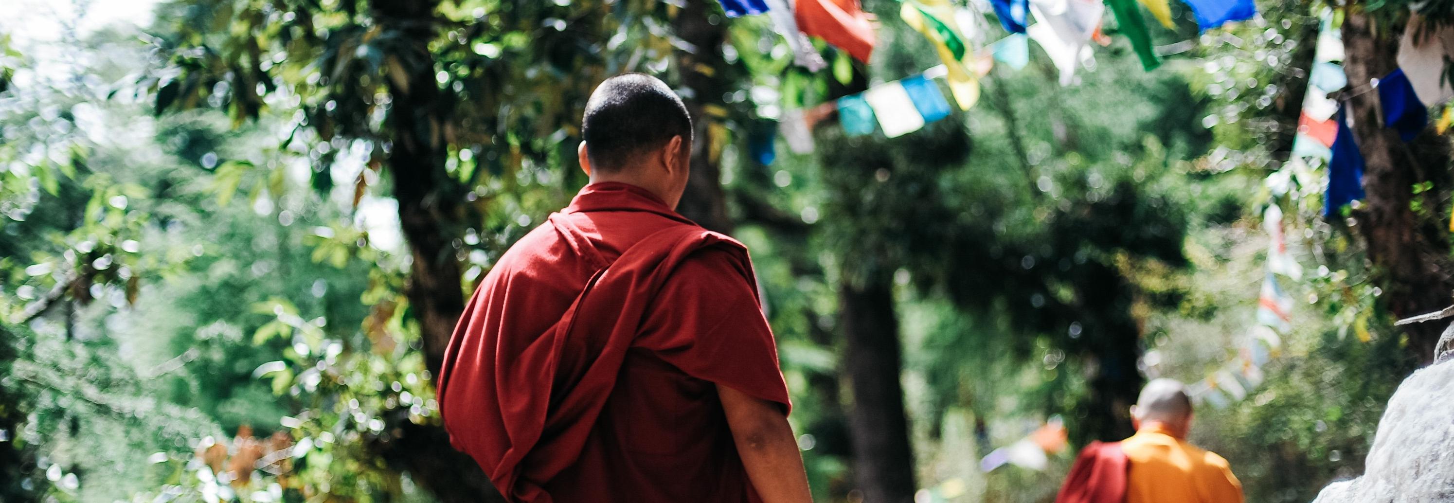 Monks walking along a path