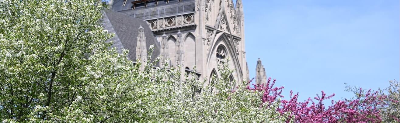 Cathedral in Spring